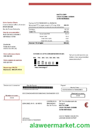 France Gaz de France Dolcevita business utility bill template in Word and PDF formats1